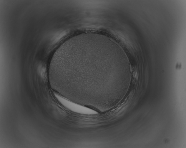 X0000096631252200802121039