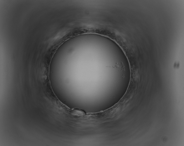 X0000096631253200802121039