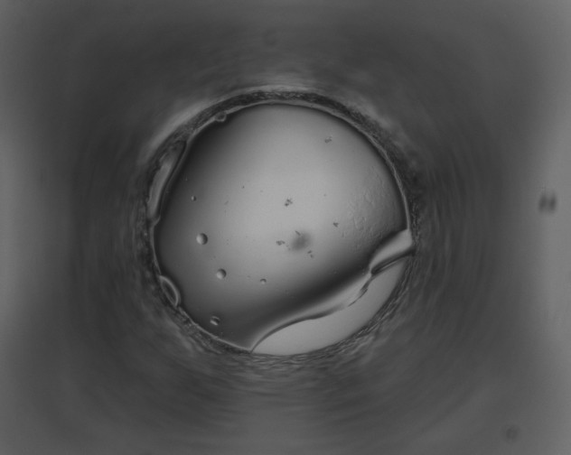 X0000096631255200802121039