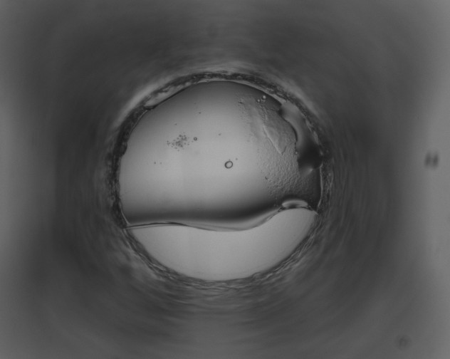 X0000096631256200802121039