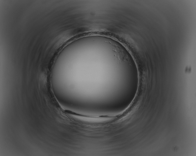 X0000096631257200802121039