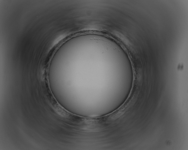 X0000096631258200802121039
