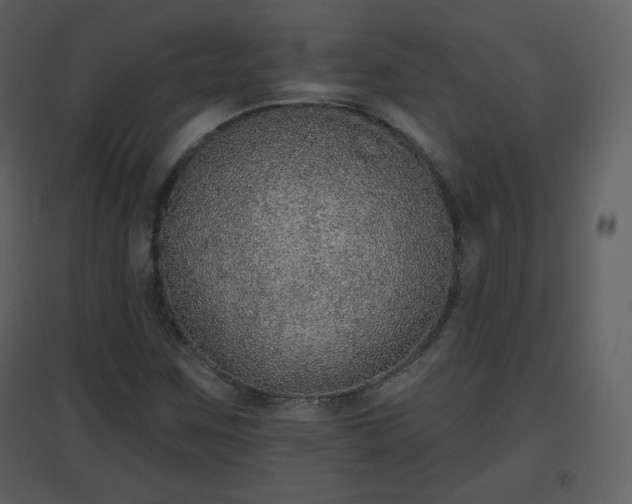 X0000096631259200802121039
