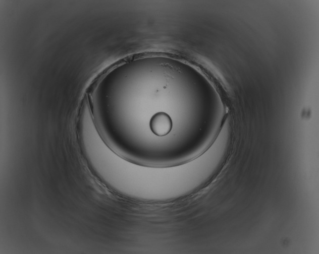 X0000096631260200802121039