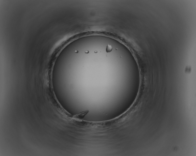 X0000096631262200802121039