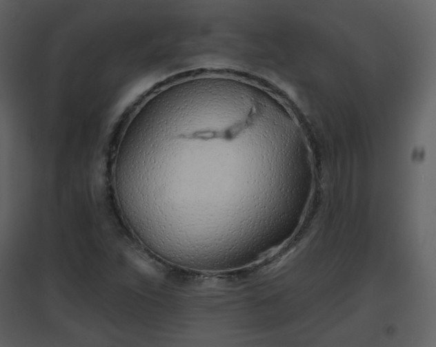 X0000096631263200802121039