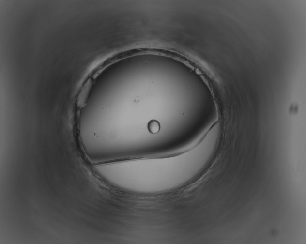 X0000096631264200802121039