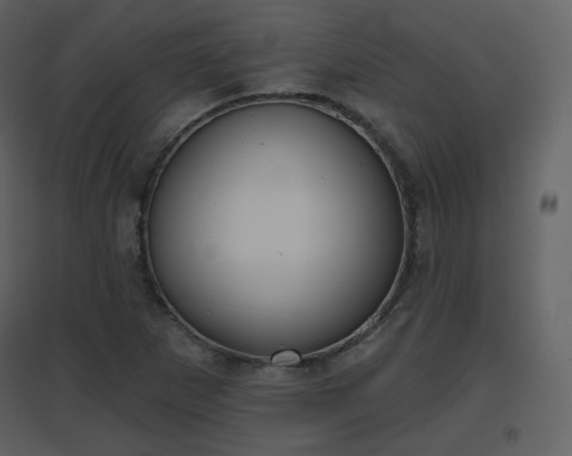 X0000096631265200802121039