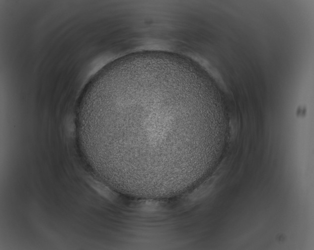 X0000096631266200802121039