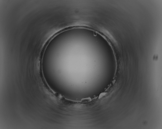 X0000096631268200802121039