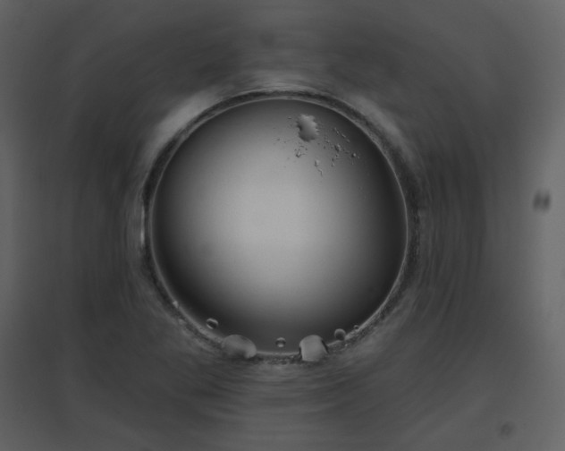 X0000096631269200802121039