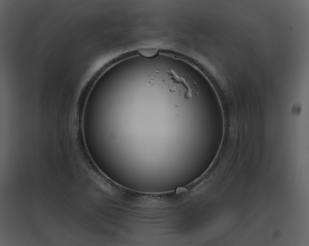 X0000096631270200802121039