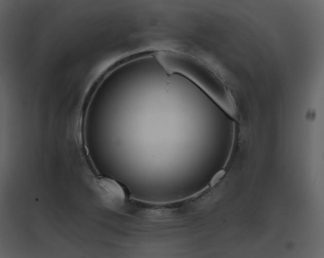 X0000096631272200802121039