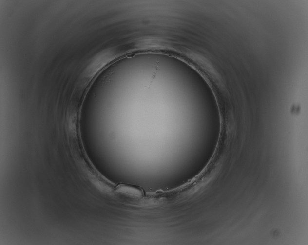 X0000096631273200802121039