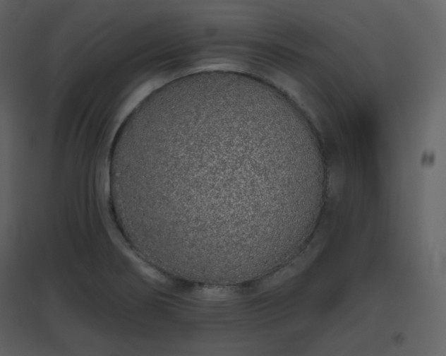X0000096631274200802121039