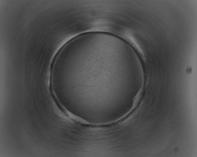 X0000096631276200802121039