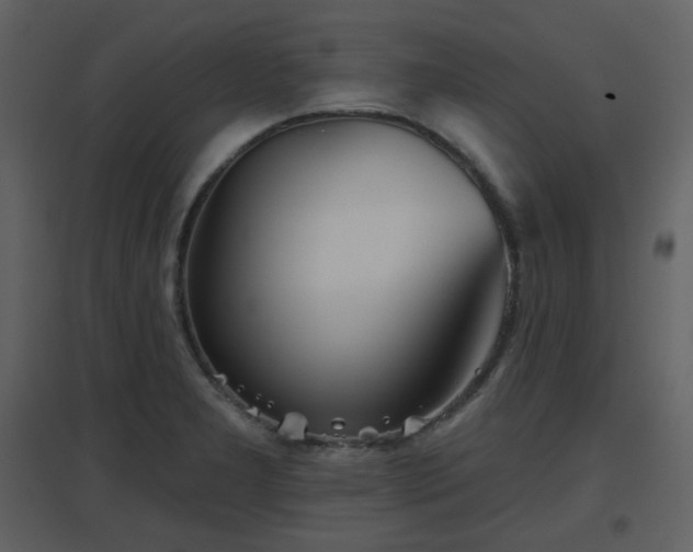 X0000096631277200802121039