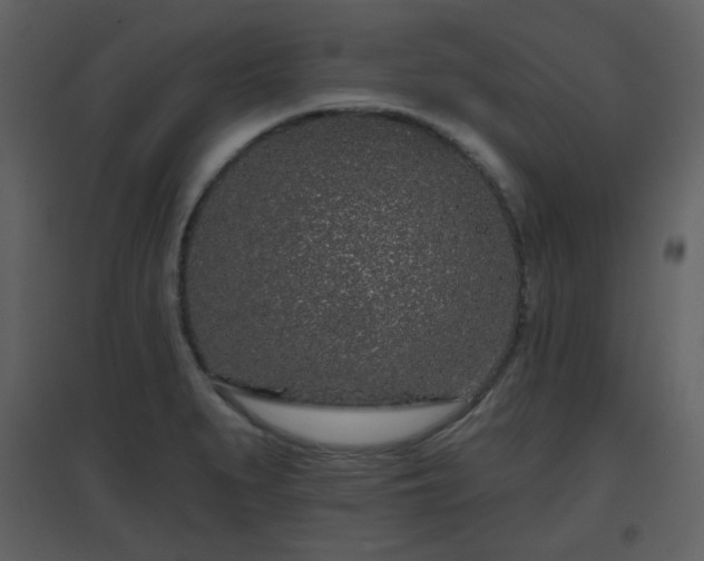 X0000096631279200802121039