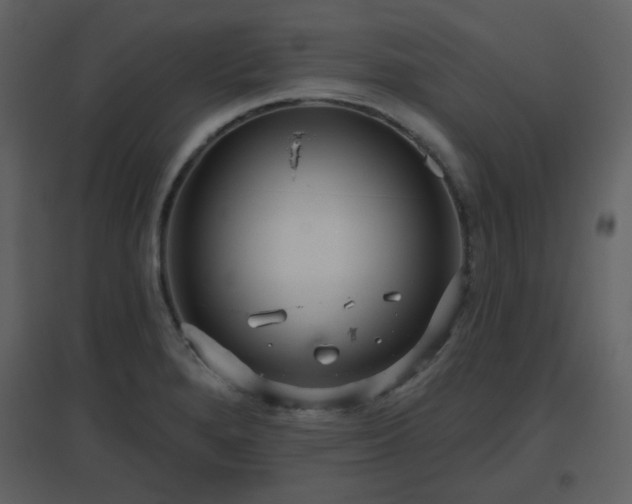 X0000096631280200802121039