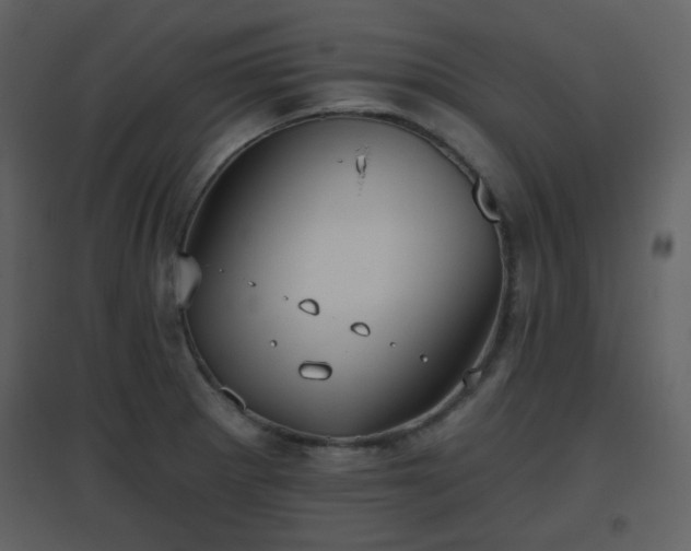 X0000096631281200802121039