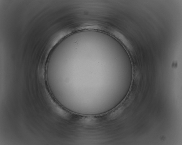 X0000096631282200802121039