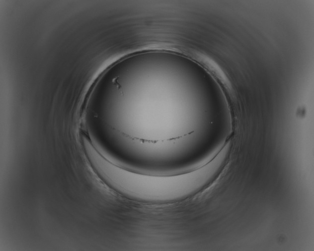 X0000096631284200802121039