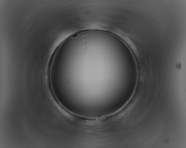 X0000096631285200802121039
