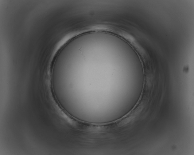 X0000096631286200802121039
