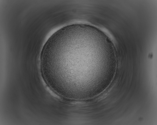 X0000096631287200802121039
