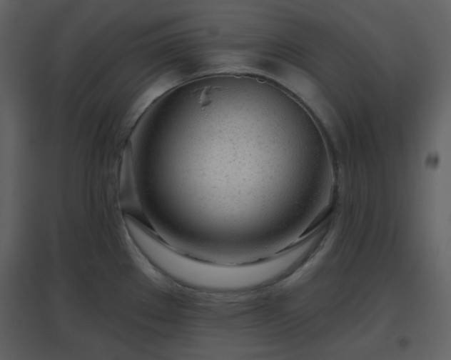 X0000096631289200802121039