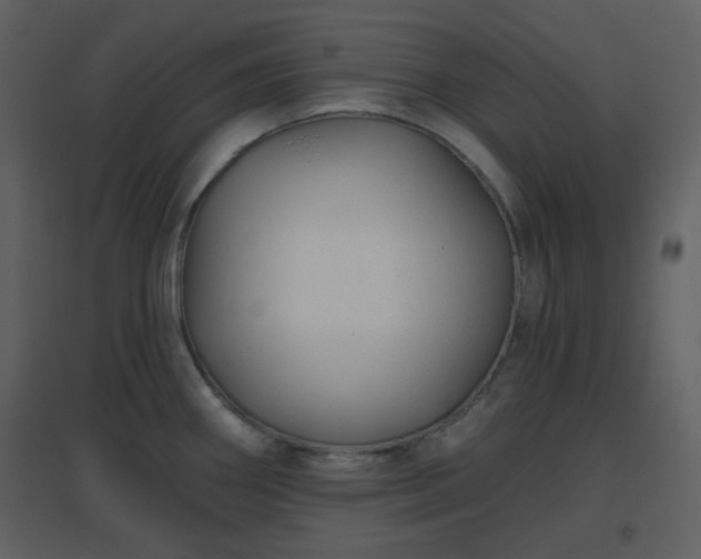 X0000096631290200802121039