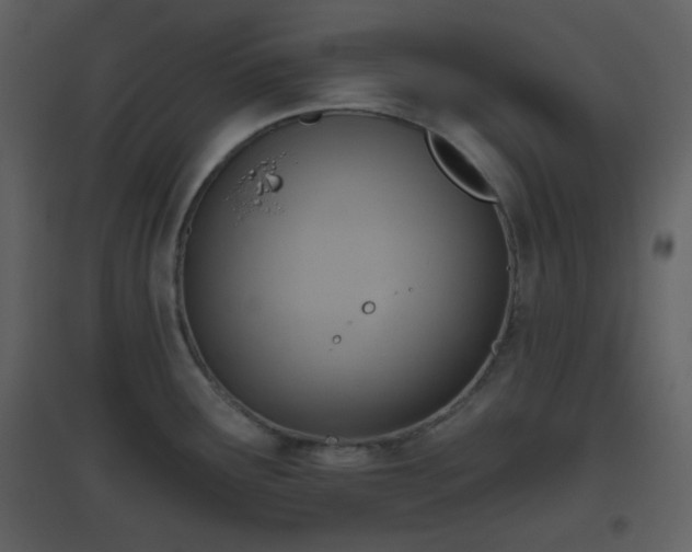 X0000096631291200802121039