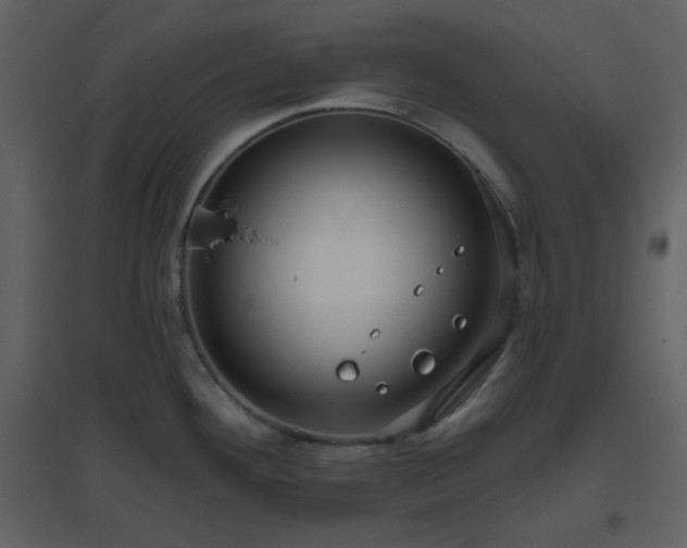 X0000096631292200802121039