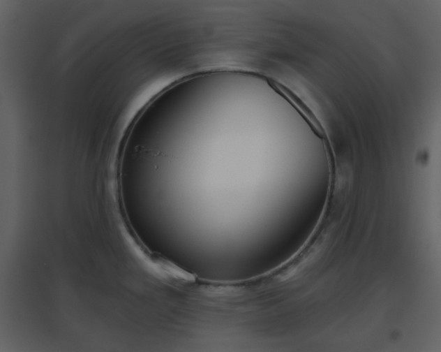 X0000096631293200802121039