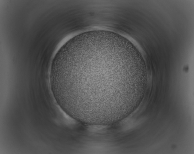 X0000096631294200802121039