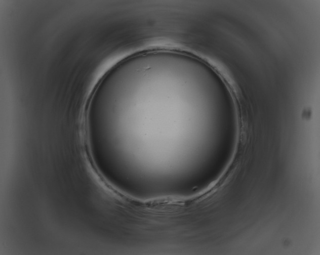 X0000096631295200802121039