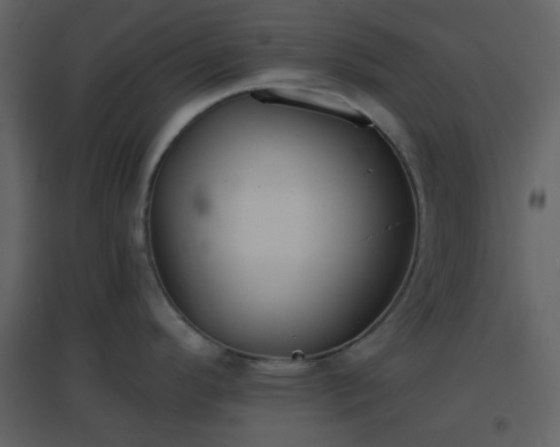 X0000096631296200802121039