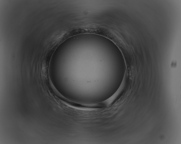 X0000096631298200802121038