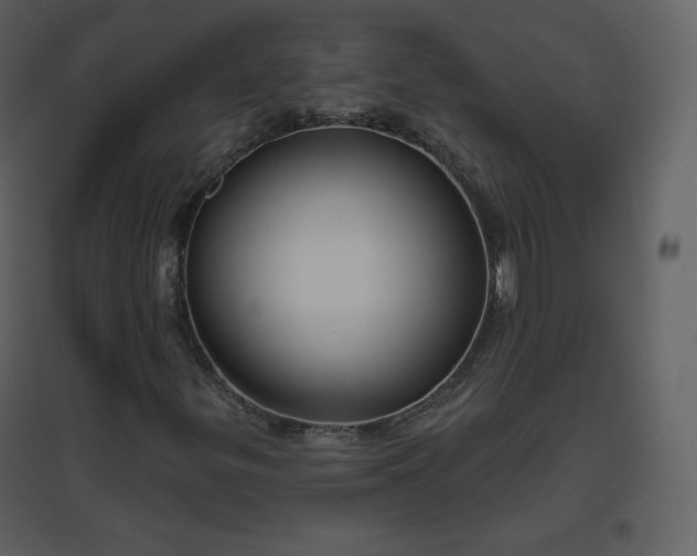 X0000096631299200802121038