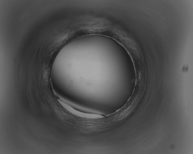 X0000096631300200802121038