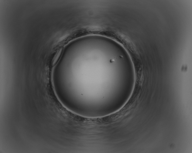 X0000096631301200802121038