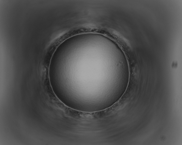 X0000096631302200802121038
