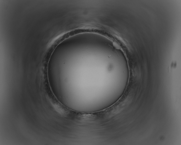 X0000096631304200802121038