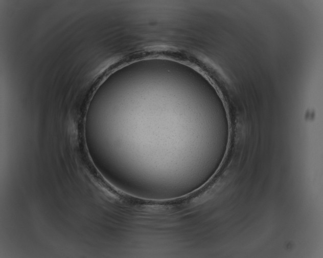 X0000096631305200802121038