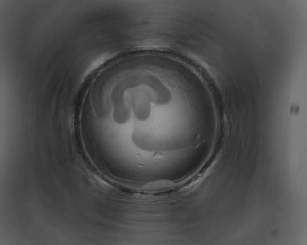 X0000096631306200802121038