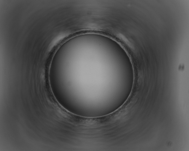 X0000096631307200802121038