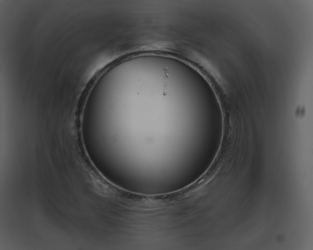 X0000096631308200802121038