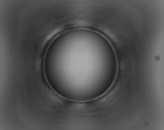 X0000096631309200802121038