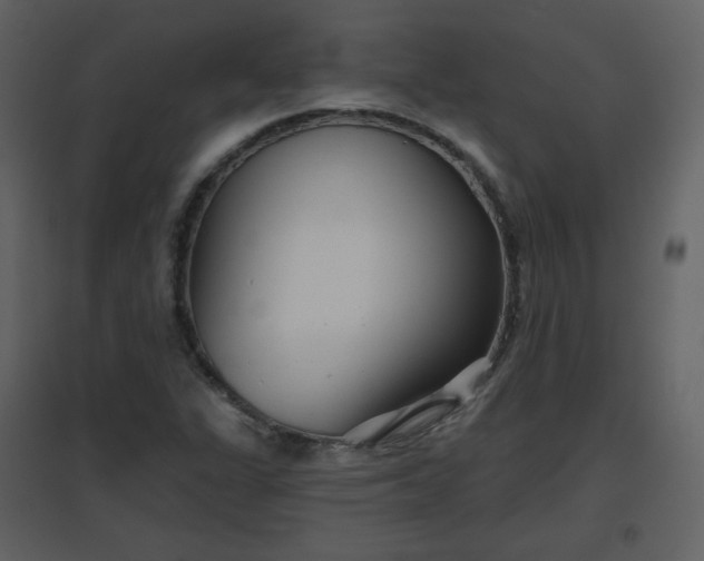 X0000096631311200802121038