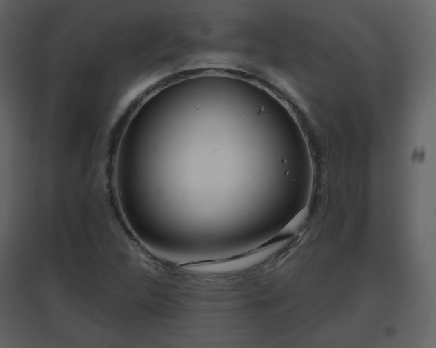 X0000096631312200802121038